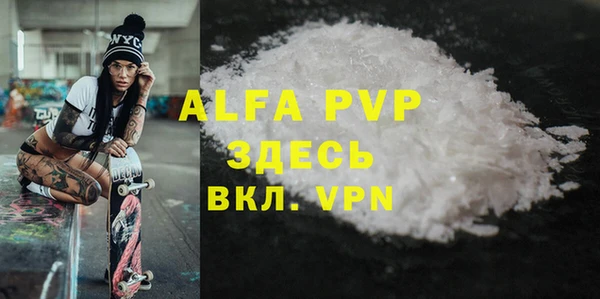крисы Касимов