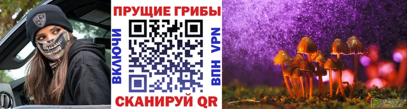 Псилоцибиновые грибы ЛСД Кашира